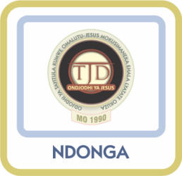 ndonga ndonga